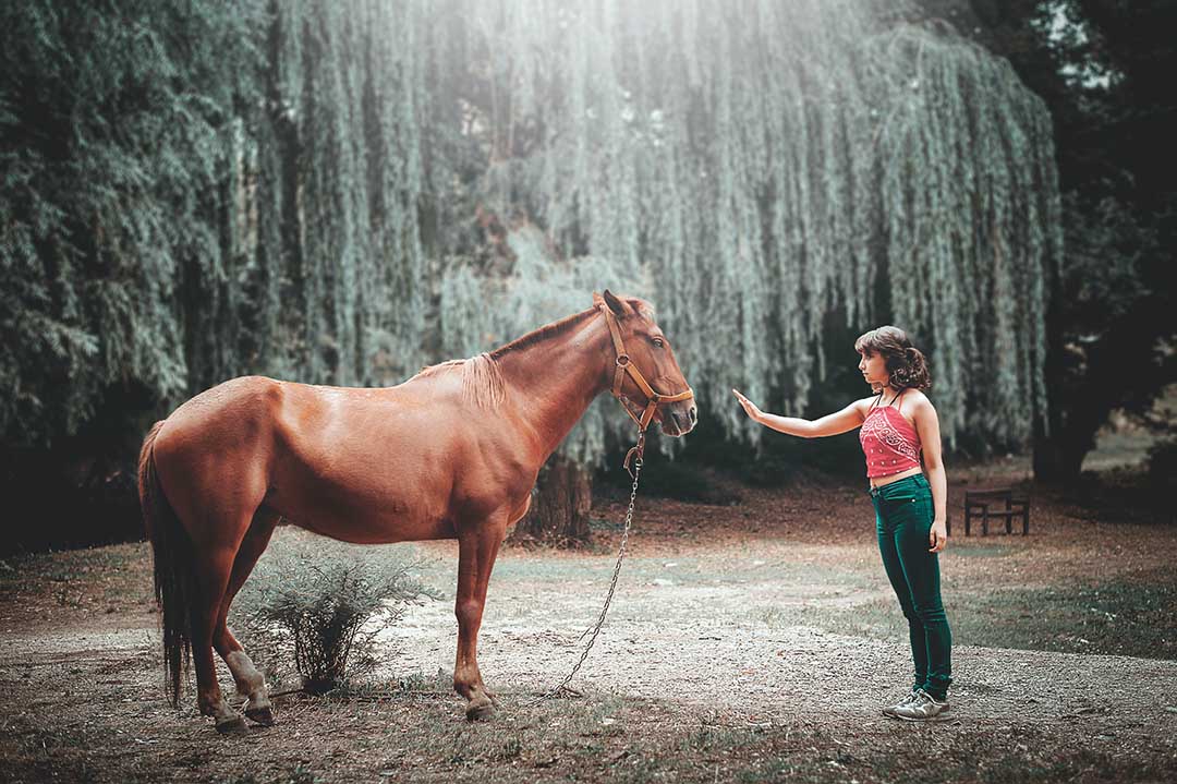 Contact Femme-Cheval Equicoaching