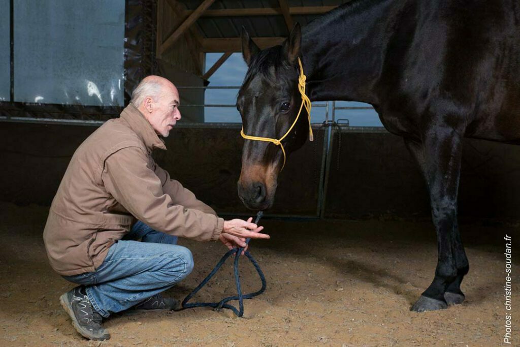 Equicoaching : Ancrage et prises de conscience