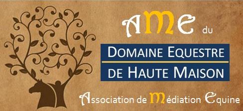 logo Assocation de Médiation Equine