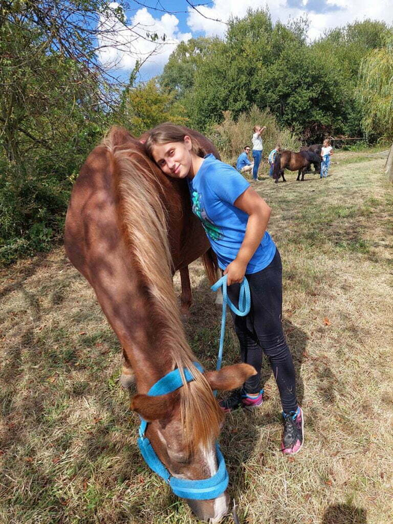 Equicoaching et Bien être