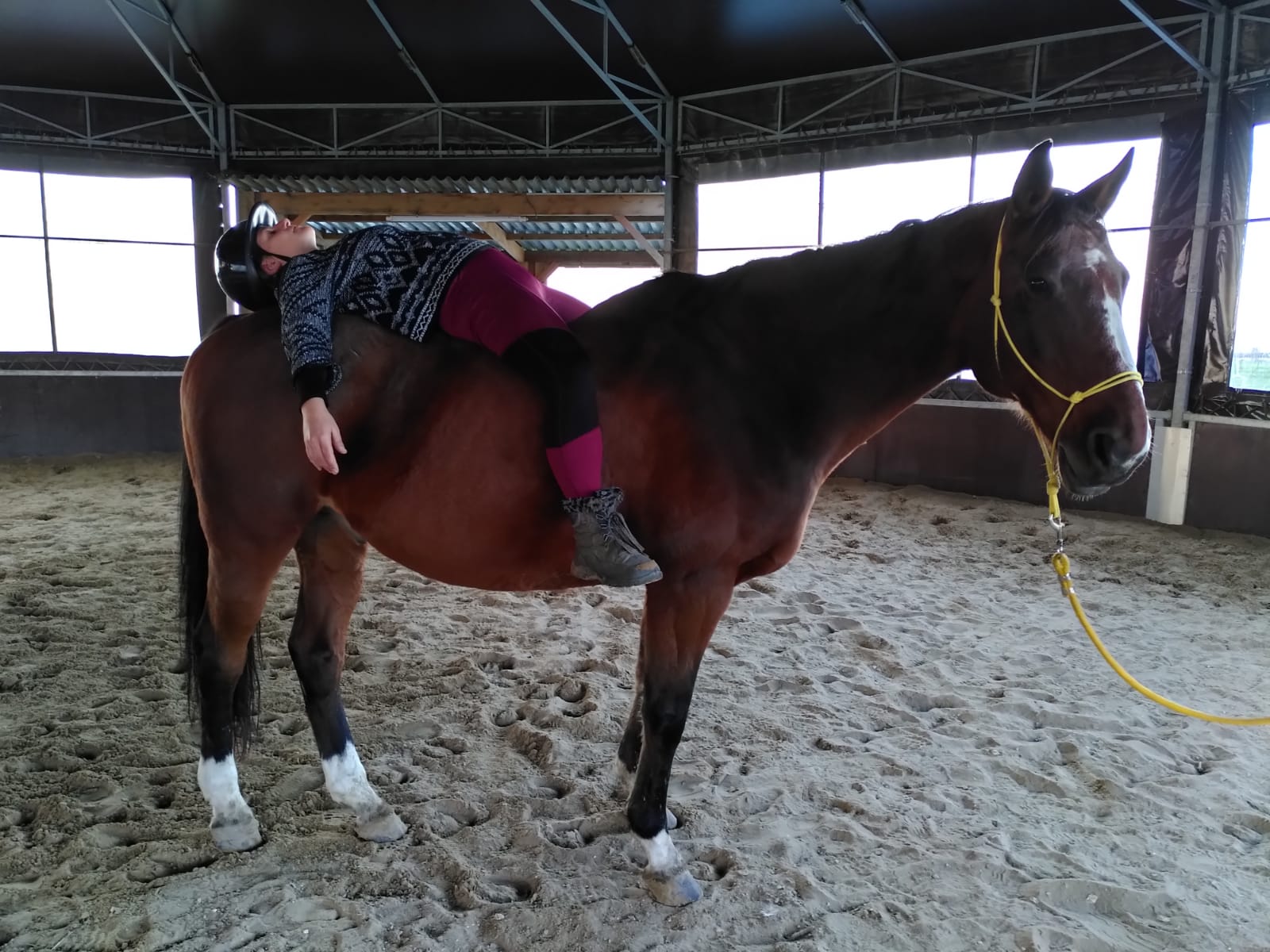 Equicoaching Confiance en soi Equicoaching Confiance en soi